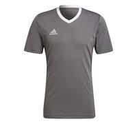 Adidas Mens Entrada 22 Jersey Colour: Grey, Size: Extra Large