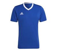 adidas Men's Entrada 22 Jersey, Royal Blue, L