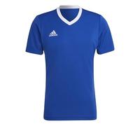 adidas Men's Entrada 22 Jersey, Royal Blue, XL