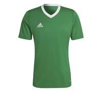 adidas Men's Entrada 22 Jersey, Team Green/White, XXL