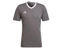 adidas Men's Entrada 22 Jersey, Team Grey Four, L
