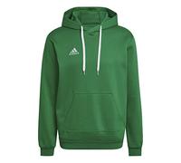 Adidas Entrada 22 Hoodie