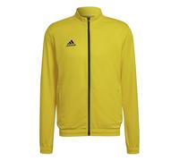 Adidas Entrada 22 Tracksuit Jacket Yellow M / Regular Men