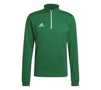Adidas Entrada 22 Training Sweatshirt Green L / Regular Man