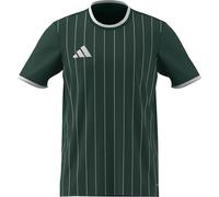 adidas Men's Entrada26 Graphic Jersey, Team Dark Green/White, L