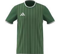 adidas Men's Entrada26 Graphic Jersey, Team Green/White, XXL