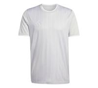 Adidas Entrada 26 Graphic Short Sleeve T-shirt Grey S / Regular Man