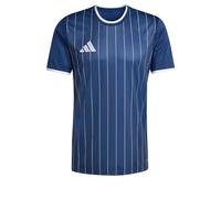 adidas Men's Entrada26 Graphic Jersey, Team Navy Blue 2/White, L