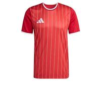 Adidas Entrada 26 Graphic Short Sleeve T-shirt Red M / Regular Men