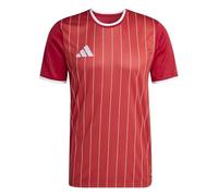 Adidas Entrada 26 Graphic Short Sleeve T-shirt Red S / Regular Man