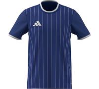 adidas Men's Entrada26 Graphic Jersey, Team Royal Blue/White, XXL
