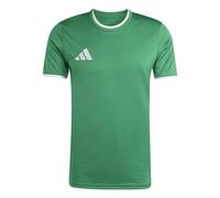 adidas Men's Entrada26 Jersey, Team Green/White, M