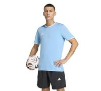 adidas Men's Entrada26 Jersey, Team Light Blue/White, L