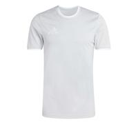 adidas Men's Entrada26 Jersey, Team Light Grey/White, L