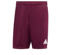adidas Men's Entrada26 Shorts, Team Maroon 2/White, L