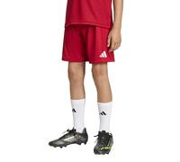 adidas Men's Entrada26 Sweat Shorts, Team Light Grey/White, XS