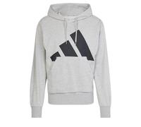 adidas Men's Essentials Big Logo French Terry Hoodie Sweatshirt, Medium Grey Heather/Black, XS