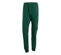 adidas Men's Essentials Big Logo French Terry Pant, Collegiate Green/Black, L