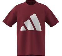 adidas Men's Essentials Big Logo Single Jersey TEE, Active Maroon/White, M