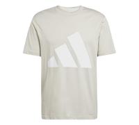 adidas Men's Essentials Big Logo Single Jersey TEE, Wonder Alumina/White, L