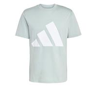 adidas Men's Essentials Big Logo Single Jersey TEE, Wonder Sage/White, S