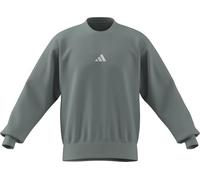 adidas Men's ESSENTIALS FEELCOZY FLEECE SWEATSHIRT, Wonder Sage/white, L