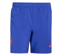 adidas Men's France Rugby Replica Playing Shorts, semi Lucid Blue, S