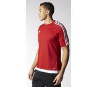 Adidas Mens Ladies Climalite T Shirt Short Sleeve Sports Top Size Small, Medium