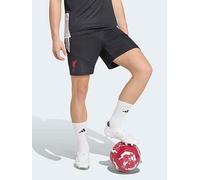 Liverpool FC 26/27 Tiro Training Shorts