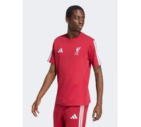 LFC adidas Adults 26/27 DNA Tee Active Maroon