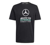 adidas Men's Mercedes - AMG Petronas Formula 1 Team DNA Graphic TEE, Black/semi Mint Rush, XL