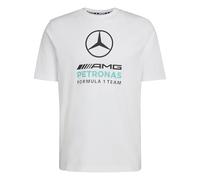 adidas Men's Mercedes - AMG Petronas Formula 1 Team DNA Graphic TEE, White/semi Mint Rush, L