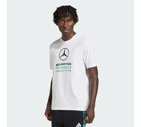 adidas Men's Mercedes - AMG Petronas Formula 1 Team DNA Graphic TEE, White/semi Mint Rush, XL