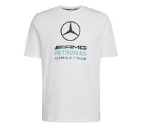 adidas Men's Mercedes - AMG Petronas Formula 1 Team DNA Graphic TEE, White/semi Mint Rush, XXL