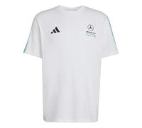 adidas Men's Mercedes - AMG Petronas Formula 1 Team DNA TEE, White/semi Mint Rush, XL