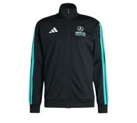 adidas Men's Mercedes - AMG Petronas Formula 1 Team DNA Track TOP, Black/semi Mint Rush, 3XL