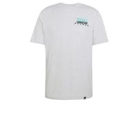 adidas Men's Mercedes - Amg Petronas Formula 1 Team Graphic 01 Shirt, Light Grey Heather, XL