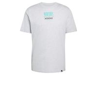 adidas Men's Mercedes - Amg Petronas Formula 1 Team Graphic 02 Shirt, Light Grey Heather, 4XL