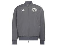 adidas Men's Mercedes - Amg Petronas Formula 1 Team Silver Arrows Icon Coat, granite/off white, L