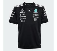 Adidas Mercedes AMG Petronas Formula One Mens Team Driver Jersey Colour: Black, Size: Large
