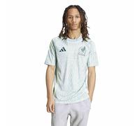 adidas Men's Mexico Jersey, Linen Green Away 2024, XXL