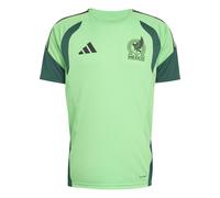 Adidas Mexico 26/27 Tiro Training Short Sleeve T-shirt Green M / Regular Men