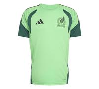 Adidas Mexico 26/27 Tiro Training Short Sleeve T-shirt Green M / Regular Men