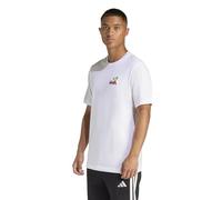 adidas Men's MINI Embroidery Surfing Graphic T-Shirt, White, 3XL
