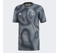 adidas Men's Real Madrid Preshirt 2018-2019 (Small) Tech Onix/Core White