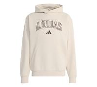 adidas Men's Seasonal Essentials Camo Hooded Sweat Sweatshirt, Crystal Linen/MULTICOLOR, 3XL