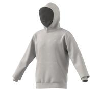 adidas Men's Seasonal Essentials Monogram Fleece Graphic Hoodie, grey two, L