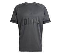 adidas Men's Seasonal Essentials US Sport T-Shirt, Dark Grey, XXL