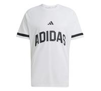 adidas Men's Seasonal Essentials US Sport T-Shirt, White, XL