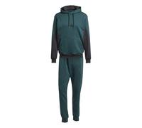 adidas Men's SPORTSWEAR 300G FLEECE COLORBLOCK HOODED TRACKSUIT, aurora ivy/black, S